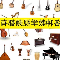  (Tmall music)Professional flagship store Feibel piano basic video tutorial 1 2 3 4 5 volumes video