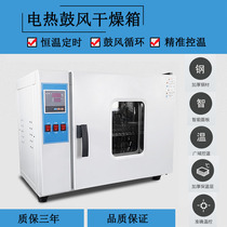 Electric constant temperature drying box Laboratory industrial drying box Food dryer Small oven All stainless steel blast