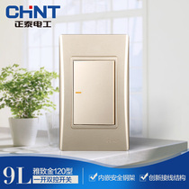 CHINT Electric 120 type NEW9L safety steel frame wall switch socket gold one open double control