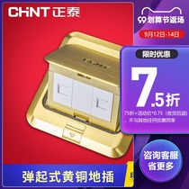 Chint phone computer ground plug-in combination household hidden all copper ground waterproof invisible cover plate without cassette