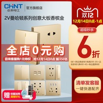 Chint official flagship store 2v gold 86 type one open 5 five-hole household concealed with USB air conditioning switch socket panel