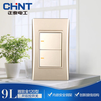 Chint Electric 120 type NEW9L safety steel frame wall switch socket gold two open dual control