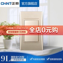 Chint Electrician 120 NEW9L Safety Steel Frame Wall Switch Socket Gold One Open Double Control