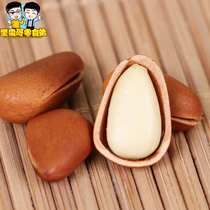 Northeast hand peeling open pine nuts pine seeds pure natural pregnant women second kill Special Special Special canned can containing can weighing 500g