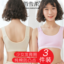 Girl development small vest girl pure cotton underwear Junior high school student 12-13-14-15-16-year-old bra