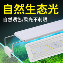 Fish tank led aquatic plant light waterproof white highlight round red brightening three-color dimmable fish light for koi