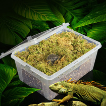 Turtle hibernating supplies coconut clay climbing horned frog feeding box snail reptile scum box acrylic feeding box sand