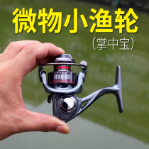 Micro-Matter Spinning Wheels All Metal Lujah Expeditions Special Mini Fishing Wheels 500 Type No Gap Small Fish Wheel Palm