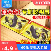 60 mouse stickers strong sticky mouse board big mouse sticking glue catching and extinguishing mouse cage mouse trap artifact household nest end