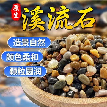 寄居蟹石头-寄居蟹石头促销价格、寄居蟹石头品牌- 淘宝