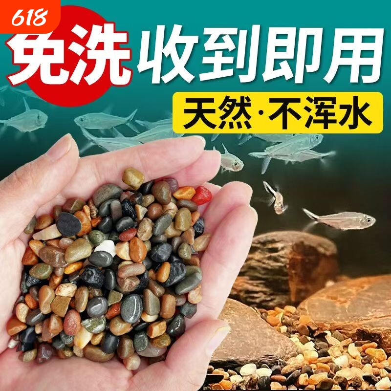 寄居蟹石头-寄居蟹石头促销价格、寄居蟹石头品牌- 淘宝