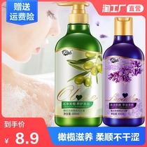Olive shampoo household oil control anti-dandruff soft and long-lasting fragrance conditioner Body Wash Shampoo Shampoo male Lady
