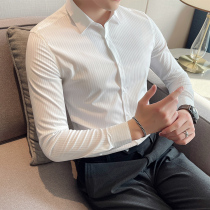 Rich bird high-grade shirt men long sleeve light luxury design sense niche men trend slim high-end striped shirt