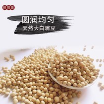Quality and quantity 5kg of raw dry peas can germinate non-genetically modified white pea bowl Miscellaneous noodles