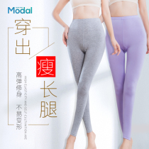 Autumn pants women wear thin student modal cotton wool pants single spring and autumn loose pants large size warm pants women