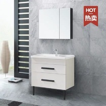 HEGII HEGII bathroom cabinet super waterproof metal cabinet HBA506031N-080