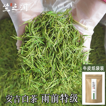 Spot 2021 new tea Zhu Zhi Runan Ji white tea authentic origin of origin before the rain Super 250 grams of green tea