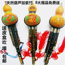 Hulusi musical instrument Zizhu beginner c tune down B tune agf tune student adult beginner playing famous musical instrument
