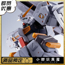 Little fat is scheduled to be the soul limited METAL ROBOT soul up to TR-1 Haiz