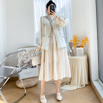 Pregnant women autumn set autumn fashion dress 2021 Spring and Autumn New Net red out two sets large size skirt