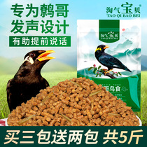 Starlings feed bird feed beagles bird food feed nutrition bird food bird feed bird feed bird food bird food special food food for starlings