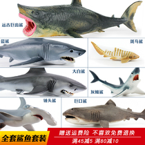 Simulation Shark Toy Set Marine Animal Model Great White Shark Hammerhead Shark Blue Shark Children's Christmas Gift