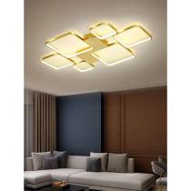 Customized ceiling lamp light luxury ring LED lamp simple modern atmosphere Hall lamp creative personality Nordic living room