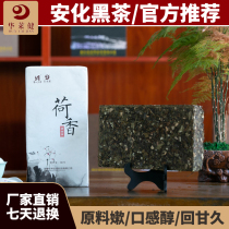 Hunan Hualai Black Tea Hualai Jiananhua Black Tea Lotus Fu Brick Tea 2KG Jinhua Fu brick