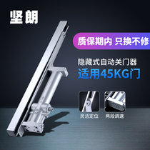 Jia Long Door Closer Automatic Household Door Closer Hidden Hydraulic Buffer Hidden Door Spring Accessories WM02301