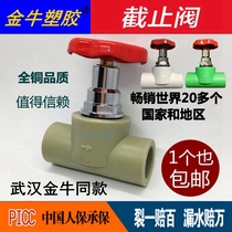 Jinniu globe valve plastic PPR lift type boutique globe valve copper spool ppr valve water pipe gate valve