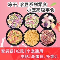 Egg yolk Bean honey squirrel cub staple food snacks fruits and vegetables soluble beans honey high protein high calcium