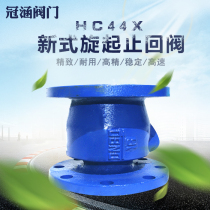 H44X vertical horizontal flange swing check valve water pump sewage one-way check valve dn80 100