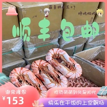 Large sea fishing jiu jie xia ready-to-eat the production of dried prawns by adopting the Nanao Island King dui xia gan salt shrimp 500g grilled shrimp ban jie xia