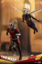 SF HT HotToys 1 6 Ant-Man 2: The Wasp Appears - Ant-Man 3 0 The Wasp