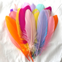 50 goose feathers hard floating sun flower wall decoration heirs dream catching net Wings material diy colored feathers