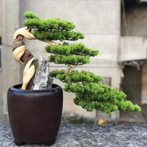 Taihang cliff bonsai welcome pine tree rock Bai Yabai Zen natural living room root carving ornaments old pile simulation plant