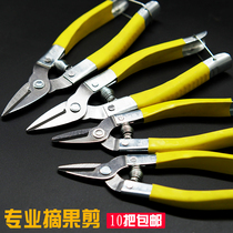 Pruning shears pedicure scissors Fruit Gardening household citrus orange knives scissors grapes special round heads