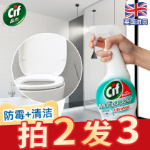 Jingjie toilet toilet dirt strong cleaner household toilet urine alkali artifact to remove yellow descaling Toilet Liquid