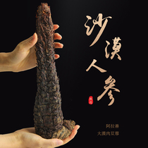 Alashan old oil cistanche 500g authentic Inner Mongolia Cistanche whole root soak wine material non-wild Super cynomorium