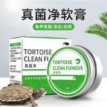 Turtle medicine fungus net specializes in the treatment of turtle fungus infection turtle shell whitish water turtle tortoise back armor white spots and white spots Special medicine for turtle fungus infection turtle shell whitish water turtle tortoise back armor