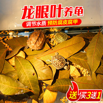 Free-boiled turtle longan leaf rotten skin turtle supplies aquarium fish tank lily leaf lazy man to adjust water quality landscaping