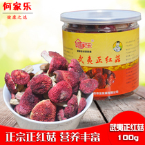 Home Music Fujian Red Mushrooms Wuyi Mountain Authentic Wild Little Red Mushrooms Dry Goods Flavor Unique Fragrance New Stock 100g