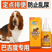 Baggy pooch-inducing agent dog bowels guide training on toilet Divine Instrumental Pet to defecate with anti-piss