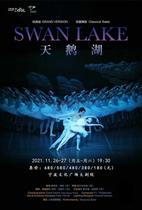  (Ningbo Station)Shanghai Ballet Classic version Swan Lake