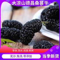 Dechang black mulberry dry 2kg super fresh mulberry instant instant soaking wine
