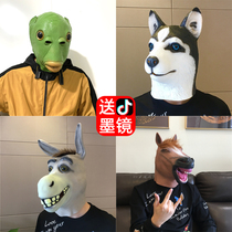 Shake-in-the-style Strange Nets Red Green Head Fish Face Hood Sand Sculpture Green Fish Head Strange Green Carp Haschic Headgear Green Fish Man.