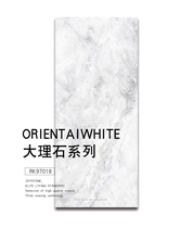 Nobel tile full cast glaze marble modern minimalist floor tiles clam White RK97019M home