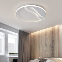 Nordic Master Bedroom Lamp Small Family Type Brief Cozy Book Luxurious Room Suction Dome Light 2020 New Dimmer Light Fixtures