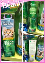 Hong Kong Buy American Multi-Magnesium Cat Kitty Special Aside to Tooth Stone Oral Daily Care Young Cat Into Cat