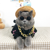 Net red cat blue cat glasses sunglasses Straw hat Pet headdress Gold chain collar necklace jewelry photo props tide